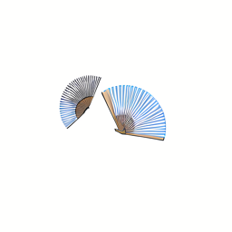 traditional asian hand fans