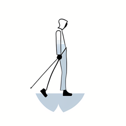 walking cane